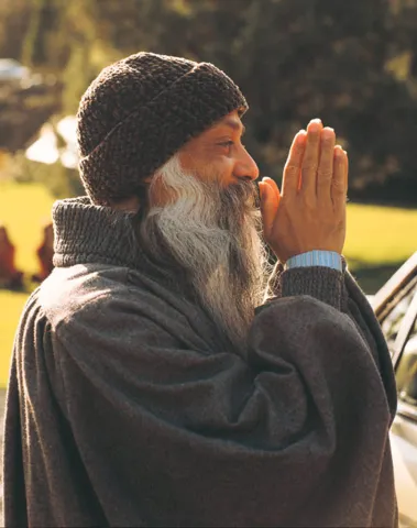 osho festival